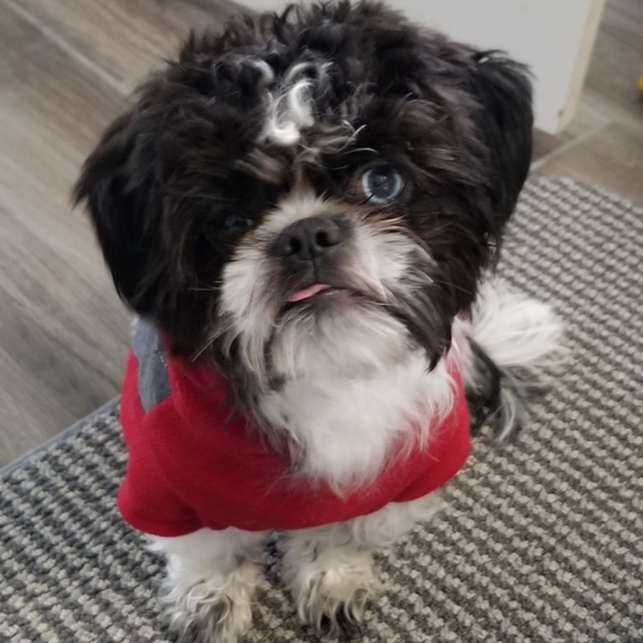 Honest Buyer and Seller 💞 - Picture 9 of 11